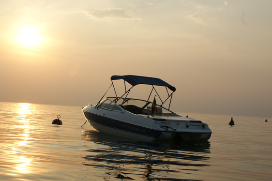 Stingray Bimini Top