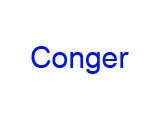 Conger Persenning