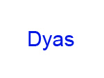 Dyas Persenning